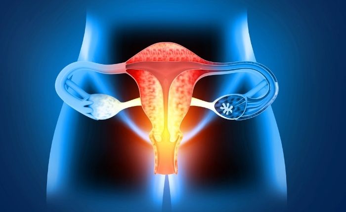 publication-vaginal-lipocube